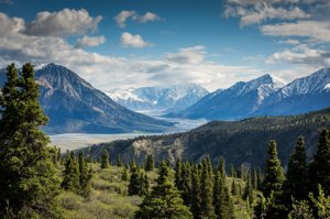 Pine-covered mountain valley in the Ridgeline Mountains